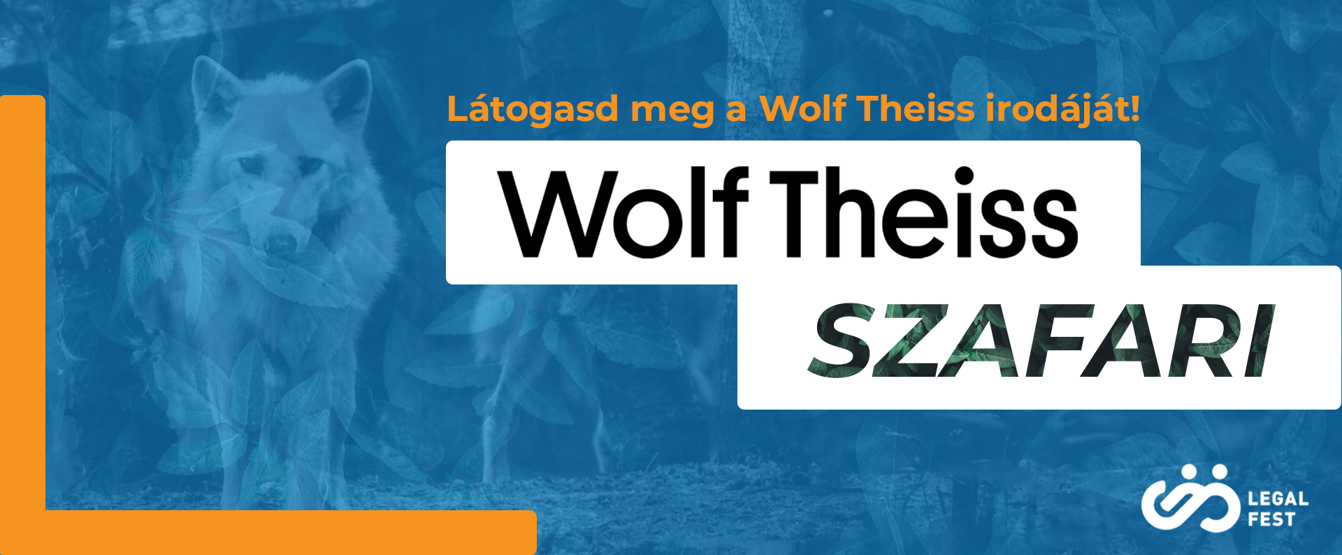wt_szafari